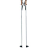 Carbon fabric two section hiking stick