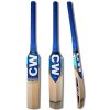 Poplar Cricket Bat Set with Eco-friendly EN71-certified