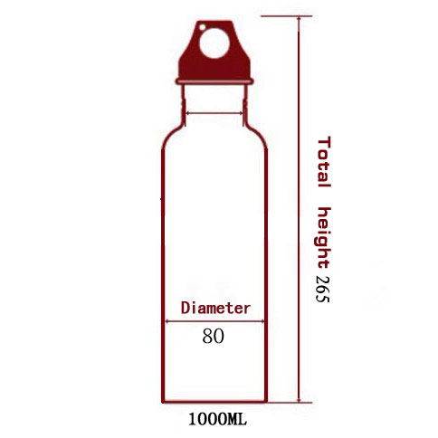  Sport aluminum bottle