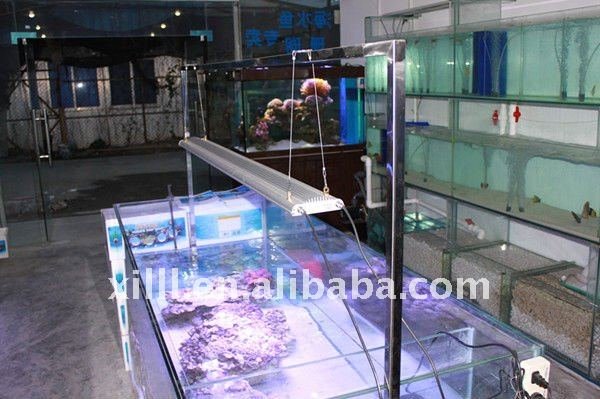 2012 Hot sale 90cm 75wCREE LED Aquarium Lighting without fans best for reef corals