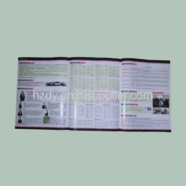 4 color printed brochure for sales promotion or company introduction