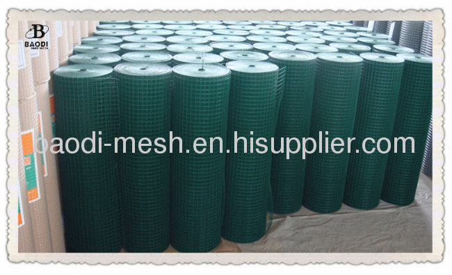 Galvanized Welded Wire Mesh in roll