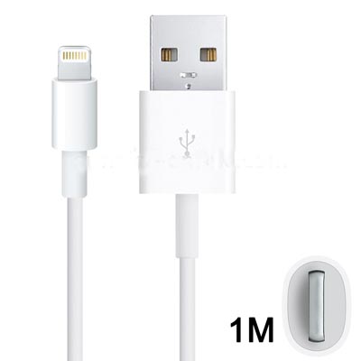 1:1 Seiko Edition Lightning 8 Pin USB Sync Data / Charging Cable for iPhone 5, iPad mini, iTouch 5, Length: 1m 