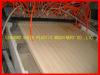 PVC wood door extrusion line