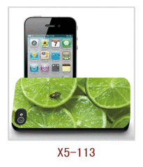 Fruit 3d picture iphone5 case,pc case rubber costed,multiple colors available