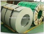 310 800 PVC stainless steel coil