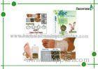 Medical Health Foot Patch, OEM Natural Biotanical Detox Foot Patch for Dispeling Toxin