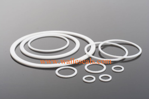 China PTFE Back-up Rings