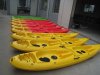 Double Hard Plastic Kayak