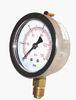3&quot;: 1.6% 6&quot; Fixed Pointer Gaseous Liquid - Filled Pressure Gauge With Bayonet Bezel