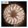 Two Wires LED Rope Light 220V