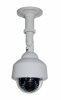 Indoor Dome Surveillance Camera with OSD, 420-700 TV-Line