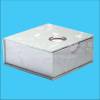 Sticky Pad in Cardboard Box HZ-839