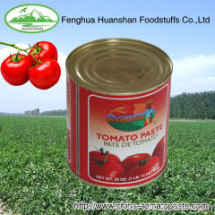 Direct filling canned tomato paste