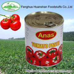 canned high purity cold break tomato paste
