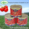 canned delicious and various export africa tomato paste
