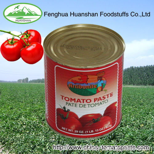 22-24% Canned hygienically processed Tomato paste