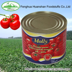 HALAL & KOSHER certified Canned Tomato Paste