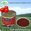 canned high nutritional value tomato paste