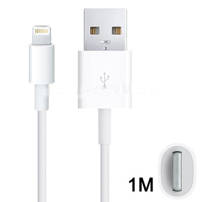 1:1 Seiko Edition Lightning 8 Pin USB Sync Data / Charging Cable for iPhone 5, iPad mini, iTouch 5, Length: 1m