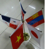 Custom Hand Flags