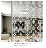 titanium mirror glass TMSJ-034