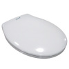 Economic Soft Close Urea Toilet Seat Cover With Stainless Steel Hinge