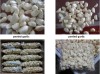 Supply China ffresh peeled garlic