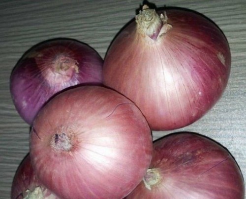 Supply China fresh onions