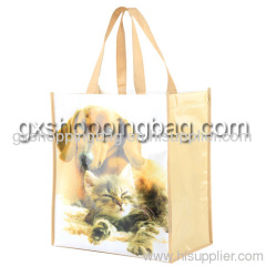 PP nonwoven shoppingbag