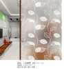 Acid etched glass GBYG-020