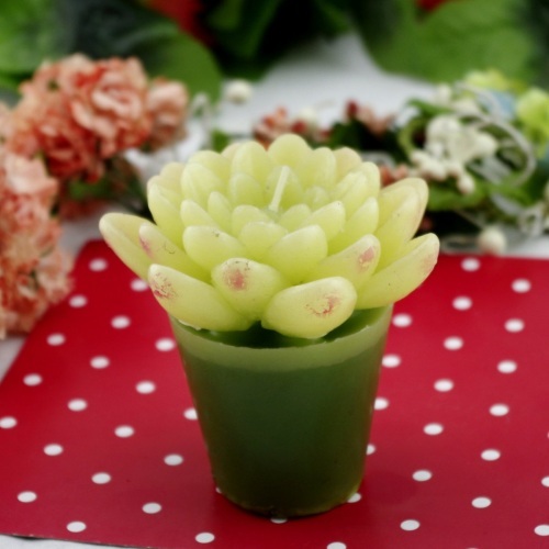 Potted Flower Craft Candle (RC-528)