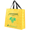 PP woven promotion shopping bag