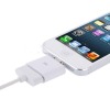 30 Pin Female to Lightning 8 Pin Male Adapter for iPhone 5, iPad mini, iTouch 5
