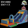 Water Slide With Pool WS0081F