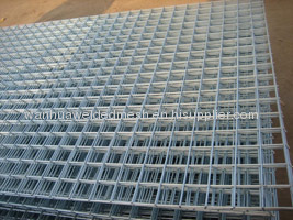 Galvanized Welded Wire Mesh Panel