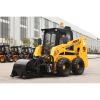 WS50 Skid steer Loader with Cold Planer