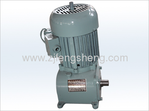 Industrial Tea Machine Turbine Worm Reducer