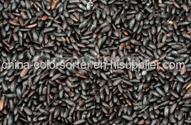Black rice High Speed CCD color sorter