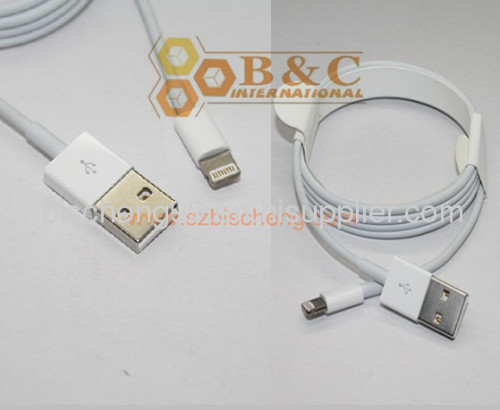 Lightning to USB Cable for iPhone5