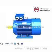 HMI (Y2) series cast iron housing motor