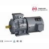 YVP Series Three Phase Frequency-Variable & Speed-Regulation Motor