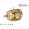 GOST series three-phase asynchronous electric motors