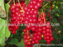 Schisandra Extract Powder