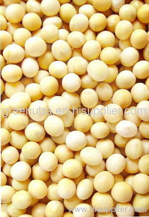 Soybean Extract Powder