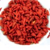 Wolfberry Extract Powder