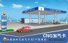 CNG gas smart card