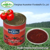 canned double concentrated tomato paste