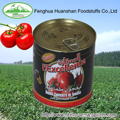 canned tomato paste concentreter
