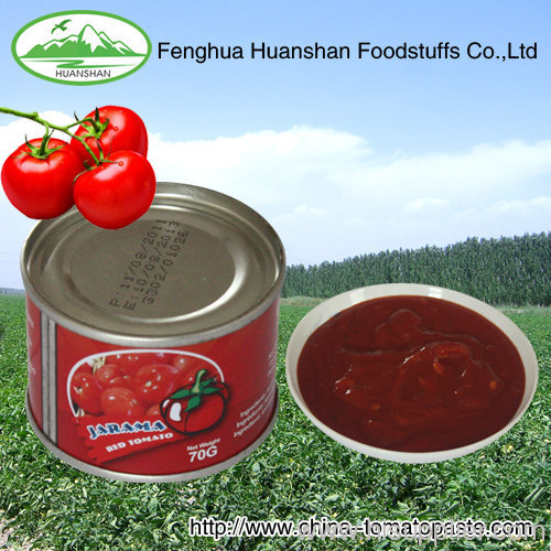 tomato paste with good quality and competitive price
